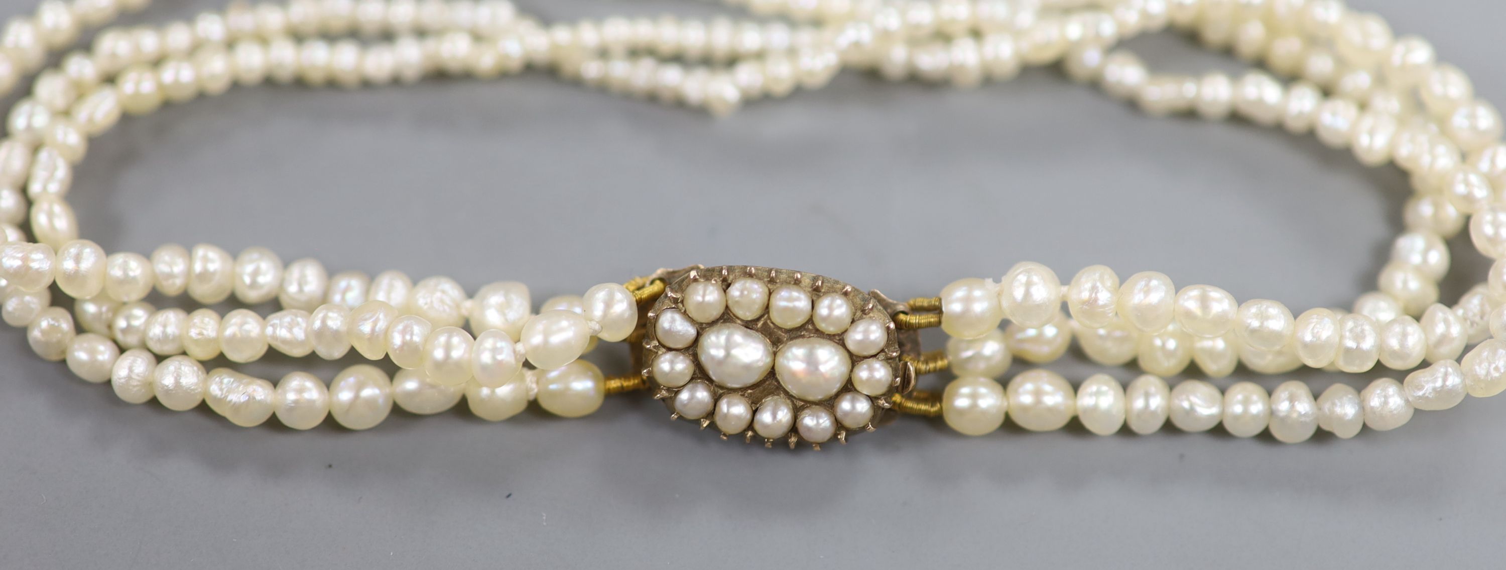 An Edwardian triple strand seed pearl bracelet, with yellow metal and seed pearl set clasp